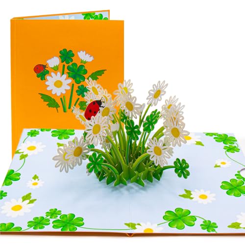 Cardmoments | 3D Pop-Up Karte Blumen & Marienkäfer – Geburtstag & Muttertag