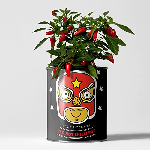 Chilli Plant Luxury Grow Kit, The Plant Gift Co. Red Hot Chilli Pot, Gardening Gift; Habanero, Cayenne and Jalapeno.