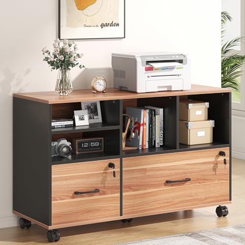 Nosepen 2 Drawer Wood Mobile Large Lateral File Cabinet with Lock, Lockable Rolling Filing Cabinet with Storage Shelves, Printer Stand Office Storage Cabinet for Home Office Fits Files Legal/A4