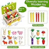 Zoom IMG-1 winnrok montessori giocattoli a partire Zoom IMG-1 winnrok montessori giocattoli a partire