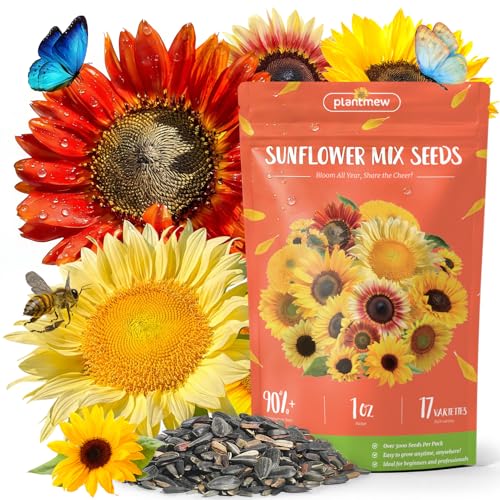 Sunflower Seeds for Planting | Giant Mammoth Sunflower Bulk Packet 3000+ Heirloom Seeds | High Germination Open Pollinated Sunflower Seeds to Plant for Home Garden Outdoors & Attracts Pollinators