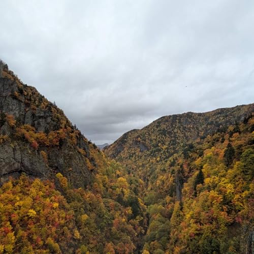 #189 オンエアバトル