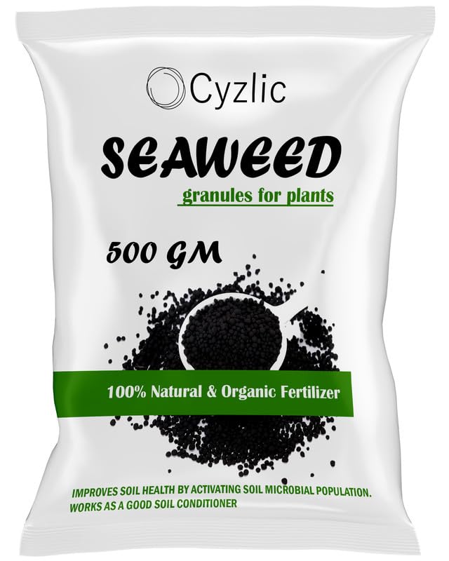 Cyzlic Seaweed Fertilizer for Plant 500 GM, Seaweed Granules for Plants Seaweed Extract Granules - Organic Fertilizer & Growth Promoter for Plants 500 gm
