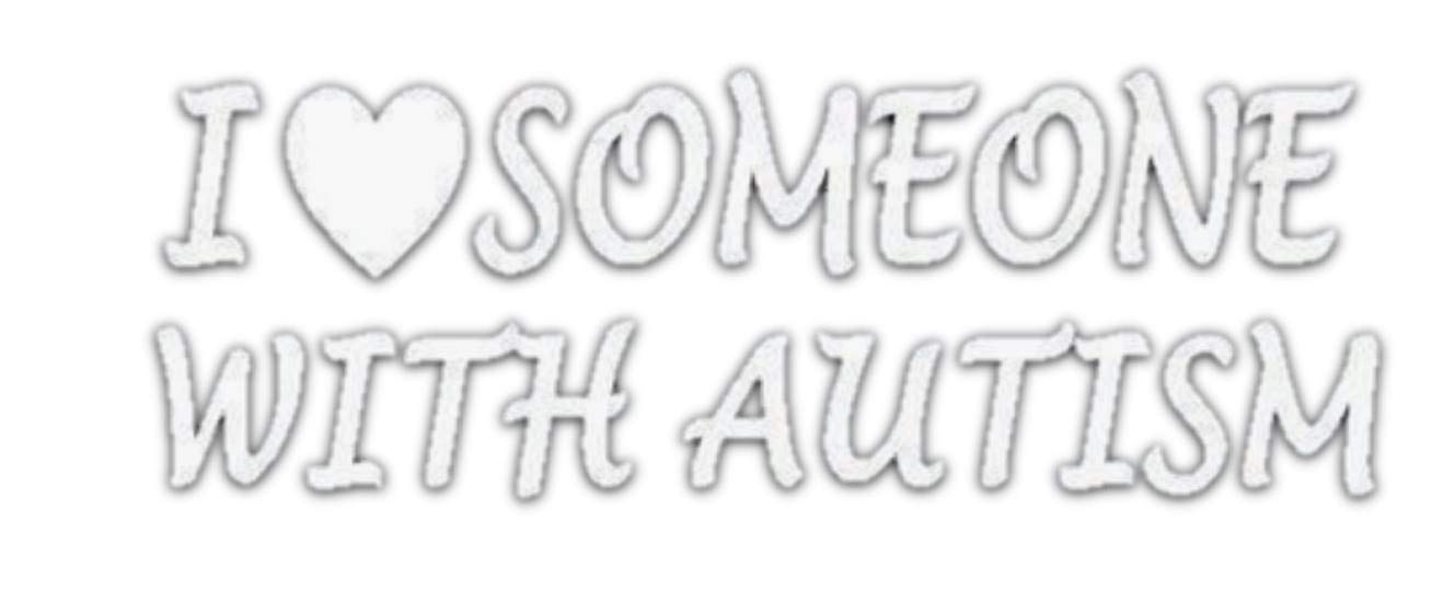 I Love Someone with Autism Sticker *H373* 8