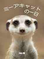 Nintendo Switch - ミーヤキャット Mimi the cat: Mimi's Scratcher for Nintendo Switch