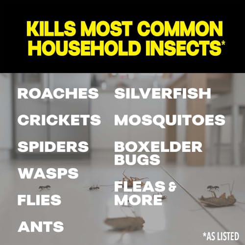 Image of Raid Multi Insect Killer, Orange Breeze Scent, Kills Ants, Roaches, Spiders and Other Insects on Contact for Indoor and Outdoor Use - 15 Oz