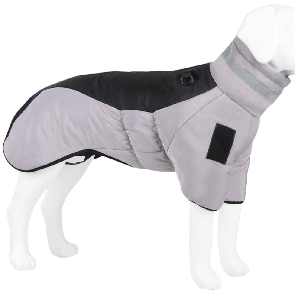 Veste pour chien de taille moyenne protégeant du froid et de la pluie avec attache laisse