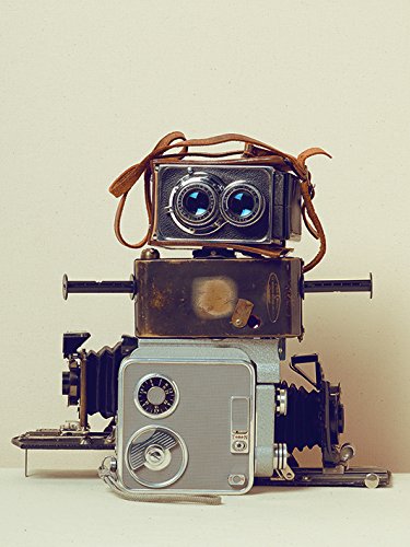 Toile imprimée Robot Hair par Ian Winstanley en format 60 x 80 cm