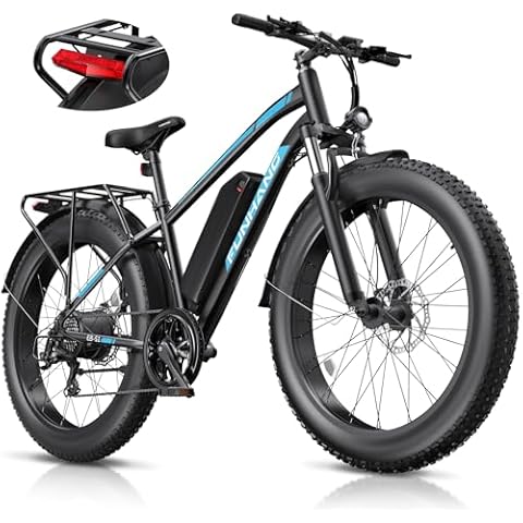 Funhang 1000W Electric Bike Cover