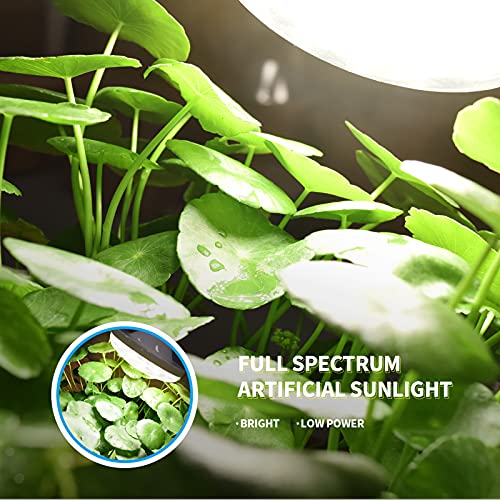 LED Plant Lamp Groeilamp E27 Bollen,Kweeklamp 50 leds,Plantengroei Licht Grow Light for Indoor Plants 4000K Volledig… - Image 4
