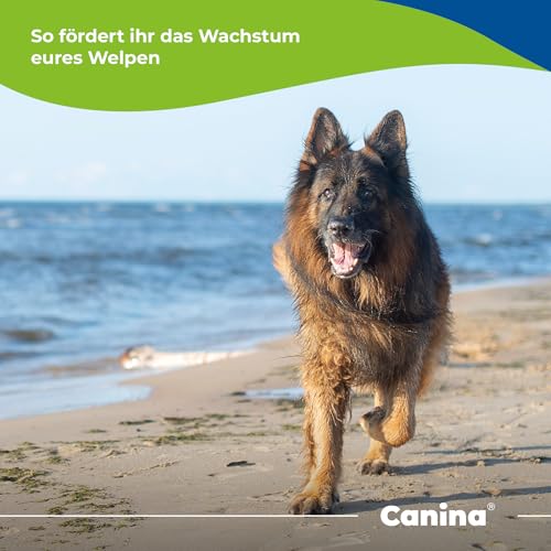 Canina Welpenkalk Tabletten, 350g
