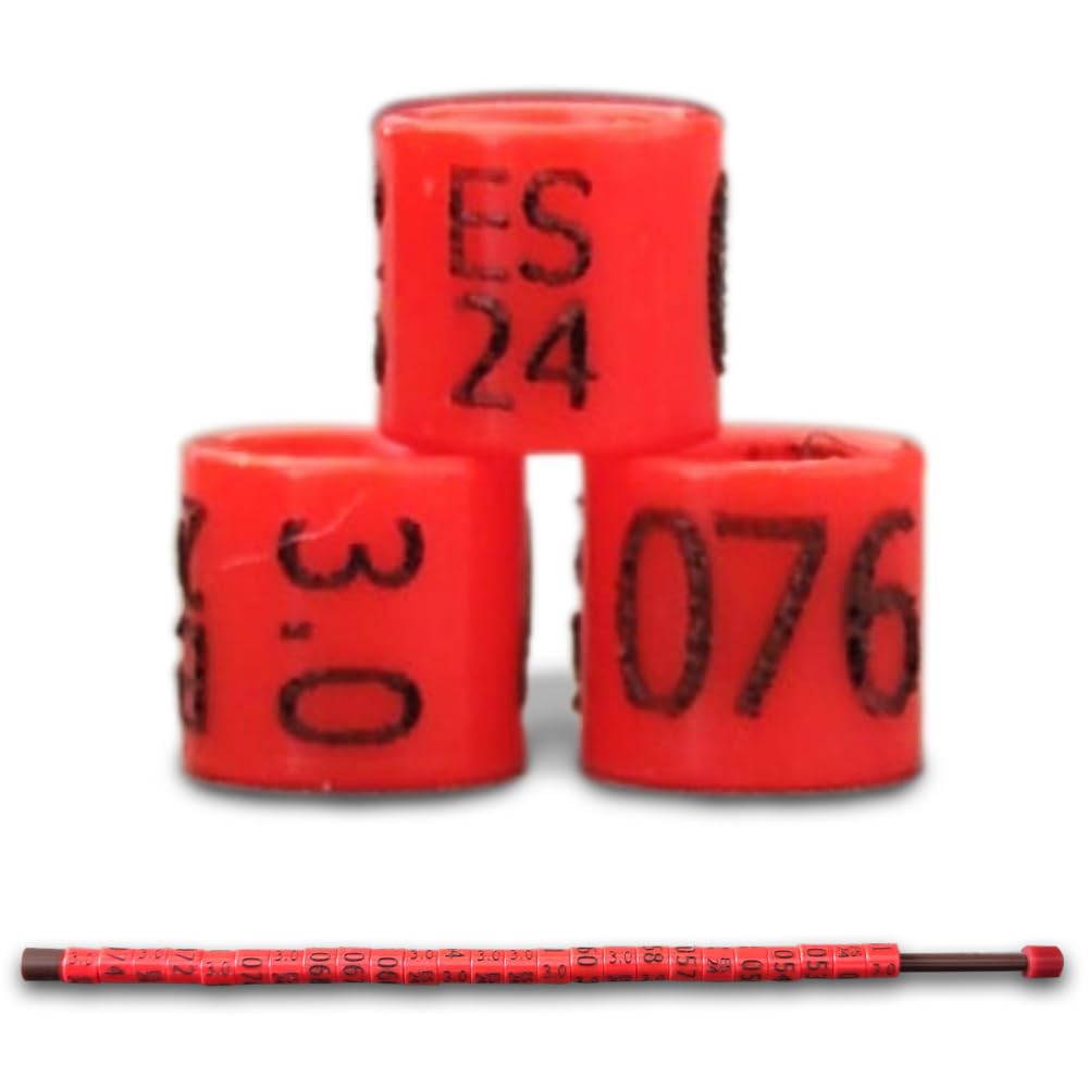 nestQ 1 Strip 25 Rings Canaries 2024 Colour Federative Red Polychrome Laser Engraving Closed 3 mm Numbered with Year Marked