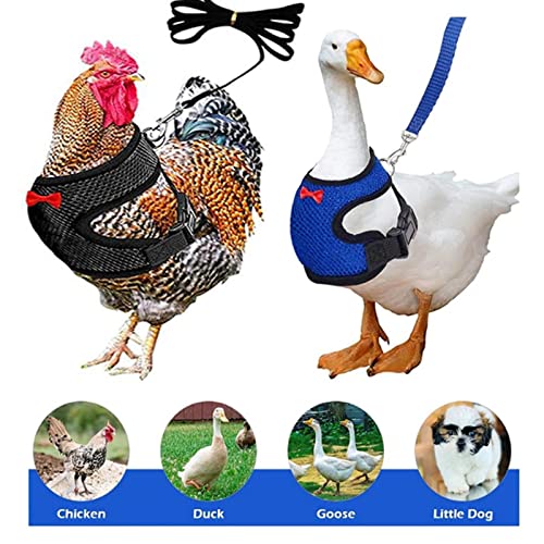 2 Stück Hühnergeschirr mit Leine, Verstellbares Hühner-Geschirr mit Leine, Atmungsaktiv Hühnerwestem, Trainingsgeschirr Haustiergeschirr für Huhn, Henne, Ente Oder Gans Lauftraining