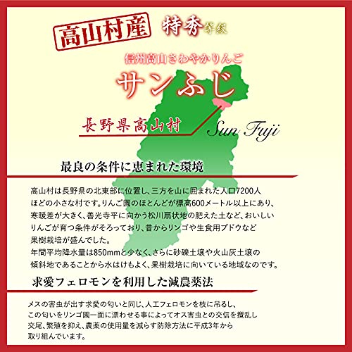Amazon.co.jp: 特秀 サンフジ 28-32玉 約10kg 大玉 りんご 長野県 信州