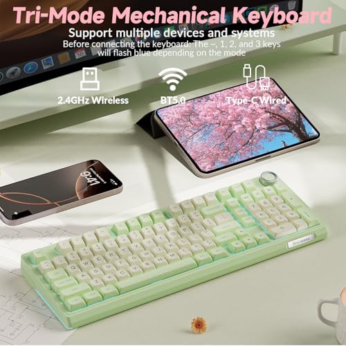 Image of SOLAKAKA KI99 Pro Wireless Mechanical Keyboard Quiet Switch,Hot Swappable Pre-Lubed Switches Silent Keyboard with RGB Backlit,Gasket Structure Computer Gaming Keyboards(GreenWhite, Silent Switch)