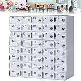 Telefonschrank aus Acryl mit 40 Steckplätzen, Wandmontage, für Schule und Büro, ideal für Sp Stunden, 20/30/40 Steckplätze erhältlich