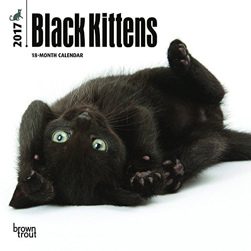 Black Kittens 2017 Calendar