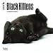 Black Kittens 2017 Mini 7x7 (Multilingual Edition)