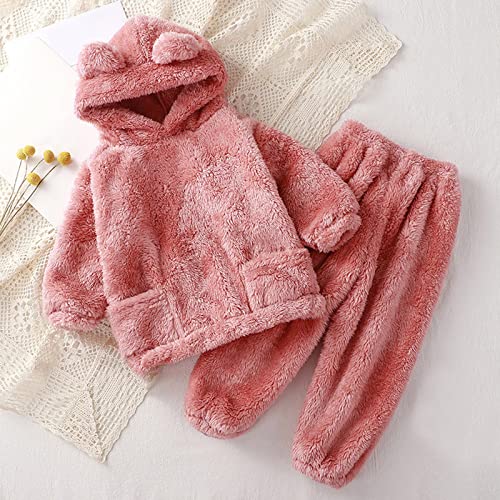 Toddler Boys Girls Fleece Outfits Baby Cute Bear Ear Hooded Clothing Set Think Warm Fall Winter 2 Piece Clothes3