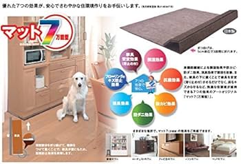 51ZjnkqtWuL._AC_UF350,