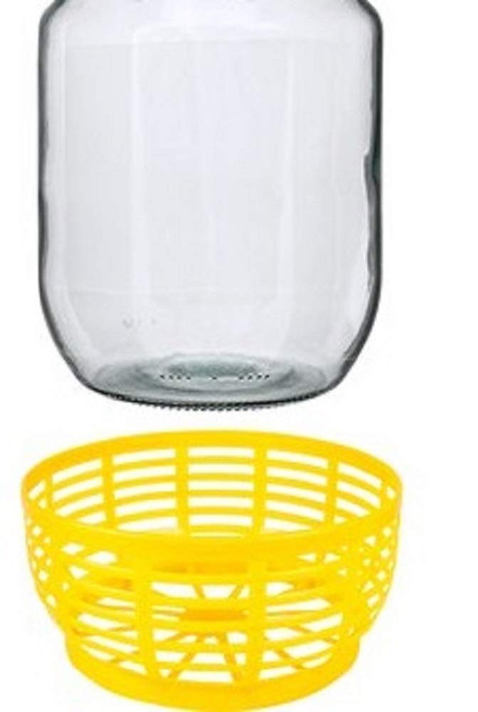 lilawelt24 6 STÜCK 5L GLASBALLON mit Kunststoffkorb Weinballon GÄRBALLON GLASFLASCHE
