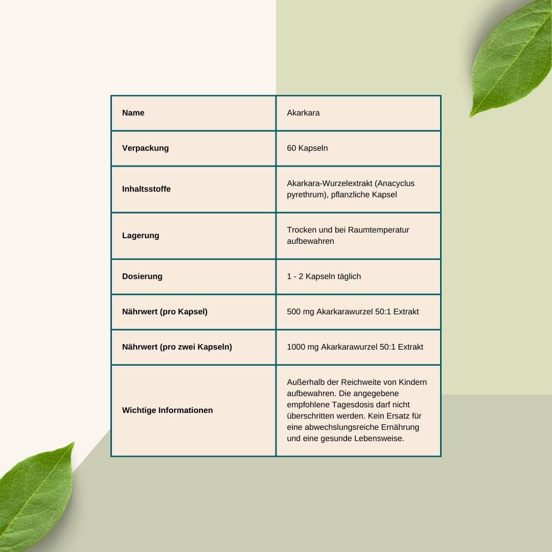 Akarkara 500 mg * 60 Kapseln – Boost für Testosteron und Vitalität – Verdauung und Stressbewältigung – Hochkonzentriert: 500 mg pro Kapsel ohne Zusatzstoffe – geeignet für Veganer