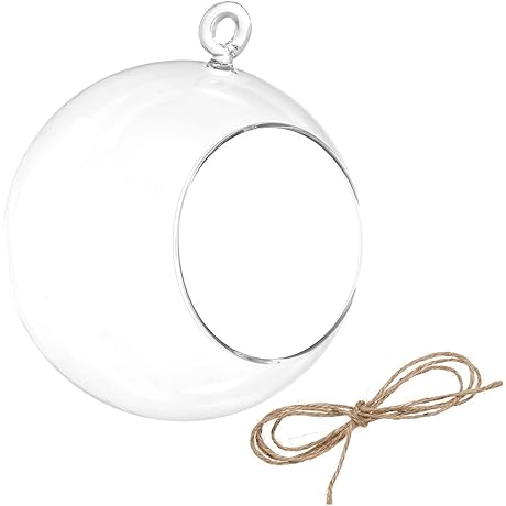 PATIKIL Glass Globe Terrarium: A Serene Abode for Nature's Miniatures