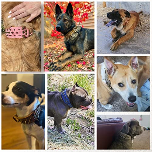 Stilvolles, scharfes, mit Stacheln besetztes Hundehalsband aus Leder - Passend für mittelgroße und große Hunde