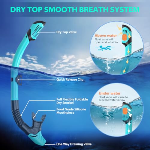 Set de equipo de snorkel para adultos – set de snorkel con tapa seca, máscara panorámica antivaho, aletas ajustables – kit de buceo de viaje con bolsa de almacenamiento miniatura 3