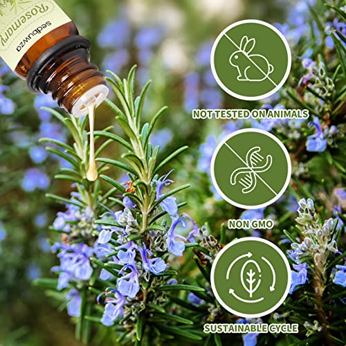 Sedbuwza QX-SE10-MDX+BH Rosemary Peppermint Essential Oil Set thumb #2