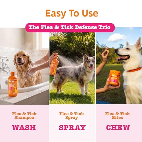 Image of Zesty Paws Flea and Tick Kit for Dogs - Shampoo, Spray & Soft Chews that Kill Fleas, Ticks & Their Eggs - Prevention, Protection & Repellent - Soothes Itchy & Irritated Dog Skin