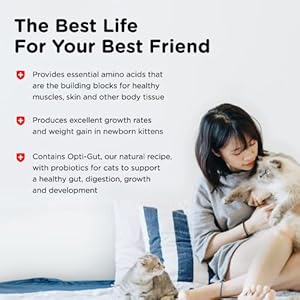 Milk-Replacement-Powder-for-Kittens-12-oz - Cucciolini Doodles   Milk-Replacement-Powder-for-Kittens-12-oz