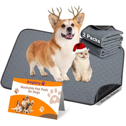 Top 10 Best Washable Dog Pee Pads Reviews & Buying Guide Katynel