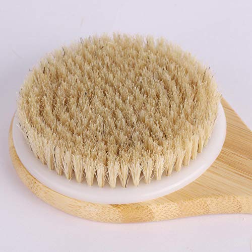 2 Pcs Dry Bath Body Brushes Wooden Handle Natural Bristles Back Scrubber for Exfoliates and Remove Dead Skin