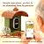 Bird Feeder with Camera, Smart Bird Feeder Camera with AI Identify BirdSpecies, Solar Powered, Instant Alerts, 2K HD Video, Various DIY Addons, 2.4G WiFi, Gift for Mom Dad Birdlover (Green)
