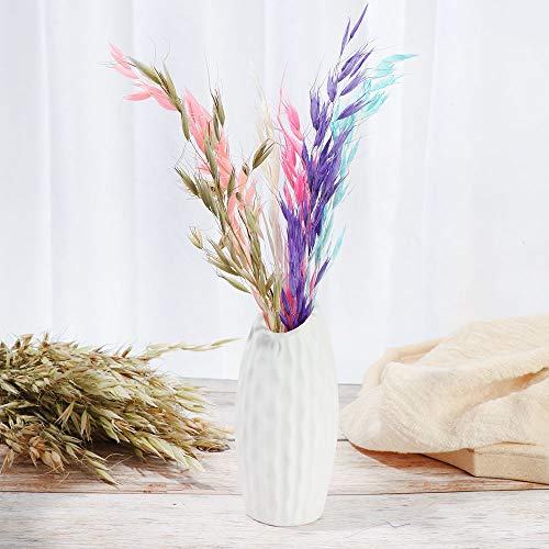 Pampas Grass Large 25PCS Flores Secas Decorativas Naturales miniatura 5
