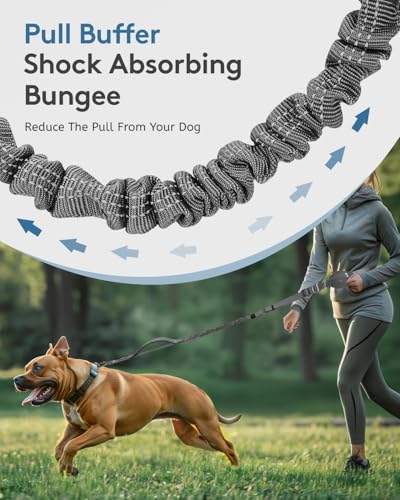 MIDOG Multifunctional Hands Free Dog Leash - Adjustable Waist Leash with Zipper Pounch& Bungee Cord,Heavy Duty No Pull Leash for Large Dog Jogging/Hiking/Walking(4-7FT,Grey)