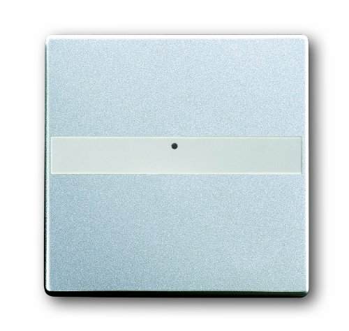 Preisvergleich Produktbild Busch-Jaeger 1764NLI-83 Wippe