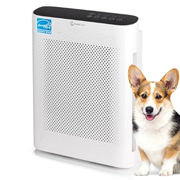 best air purifier for weed odor