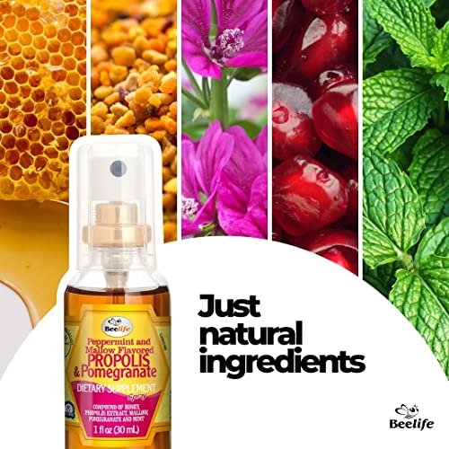 Beelife Propolis Throat Spray – Soothing Honey, Mint & Pomegranate Propolis Spray - Natural Immune Support & Sore Throat Relief - Bee Propolis Extract – Antioxidants, Rich In Flavonoids & Artepillin C, No Sugar, Gluten-Free - 1-Pack, 30Ml #TOP4