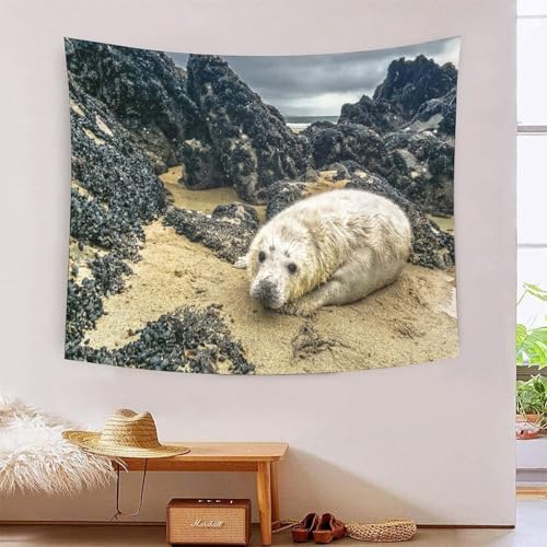 Tapisserie Art Mural Pour Décoration De Chambre À Coucher MJFCoin Seal Effet 3D