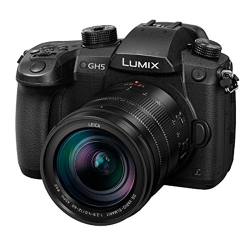 Amazon.com: Panasonic LUMIX GH5 20.3MP 4K Mirrorless Digital