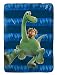 Disney/Pixar The Good Dinosaur 'Carnivore' 62" x 90" Plush Twin Blanket