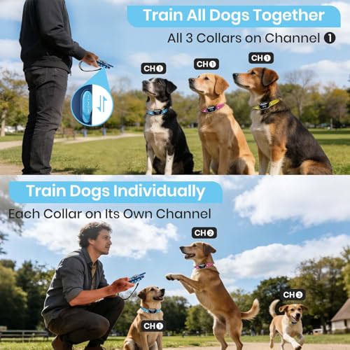 Image of PetJoy Shock Collar for 3 Dogs & Dog Training Collars with Lockable Shock - Shock Lock Mode Switches to Tone & Vibe Only, Remote Features Slide Safety Lock, 4000ft Range (9 Tones)