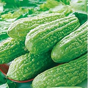 30 Stuks Bittere Kalebas Zaden Jaarlijks Klimmen Groene Groenten Onderhoudsarm Geschikt Voor Boerderijbeplanting…