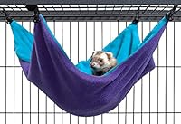 Algopix Similar Product 15 - Ferret Nation Critter Nation