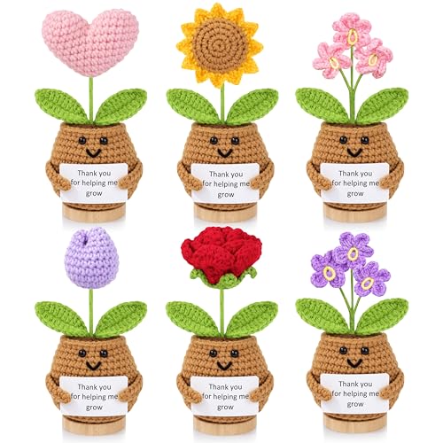 JMTMBR 6PCS Teacher Appreciation Gifts for Women Teachers Gifts Bulk