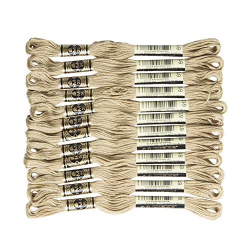 Image of DMC 6-Strand Embroidery Cotton Floss, Light Drab Brown