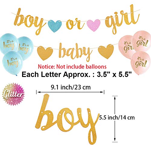Image of Gender Reveal Decorations with Baby Banner and Boy or Girl Sign 17pcs
