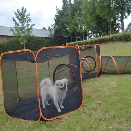 Enclos d'extérieur pour chat – Tente pop-up portable 6 en 1 en maille avec tunnels de jeu pour grands chats, lapins et petits animaux – Maison de jeu polyvalente